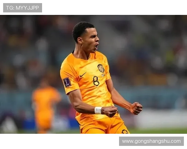 加克波首发是最佳选择 恩古莫哈难以替代的原因解析 加克波首发是最佳选择 恩古莫哈难以替代的原因解析